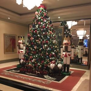 Meet your Posher, Ellyn